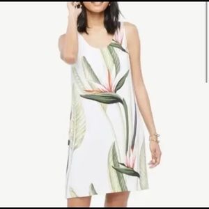 Ann Taylor Bird of Paradise Dress